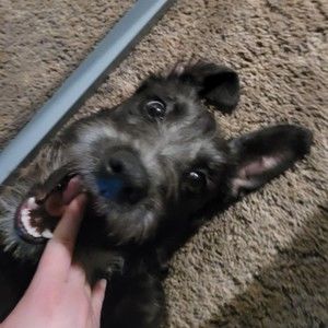 Meet your Posher, Jenna